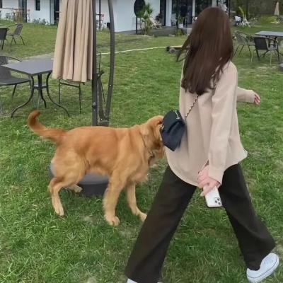龙与魔女#0.8